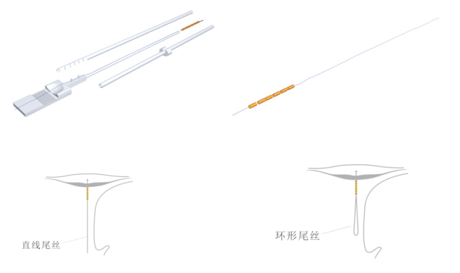 QQ截圖20211111162249.png